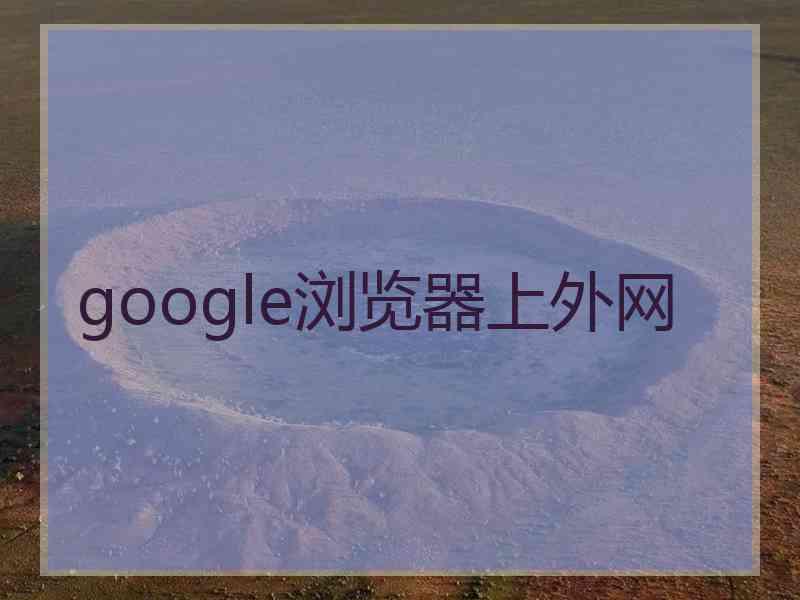 google浏览器上外网
