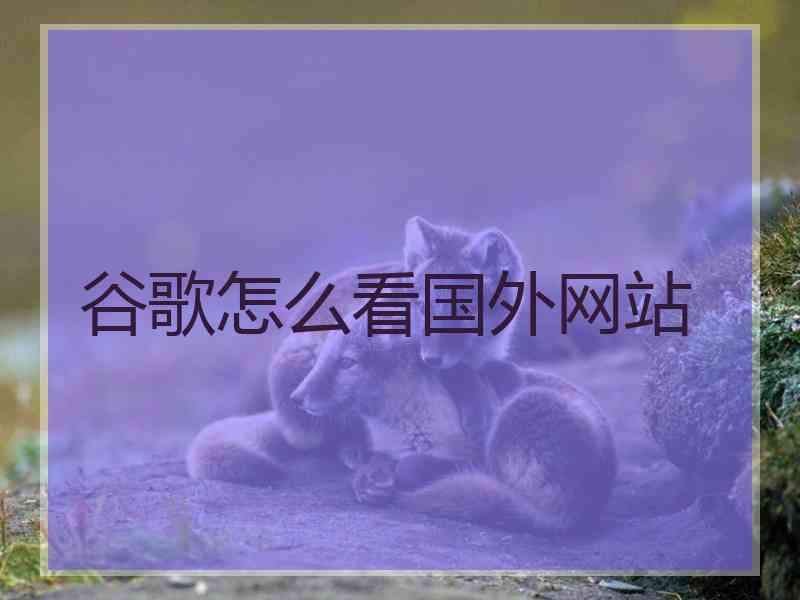 谷歌怎么看国外网站