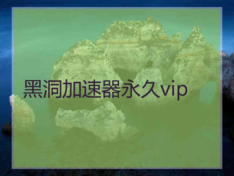 黑洞加速器永久vip