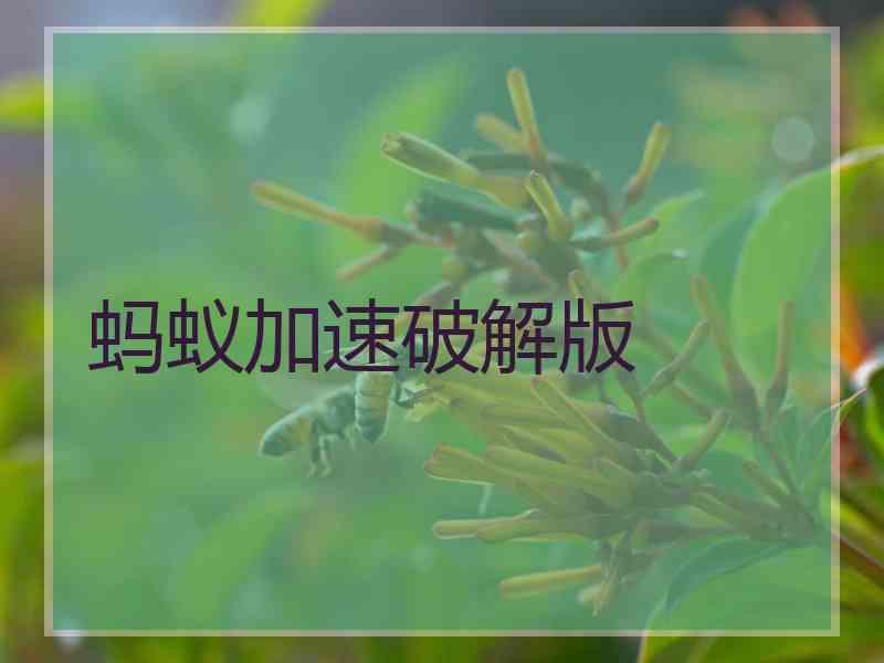 蚂蚁加速破解版
