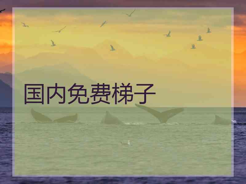 国内免费梯子