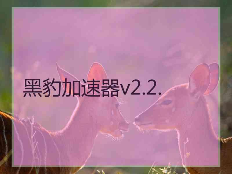 黑豹加速器v2.2.
