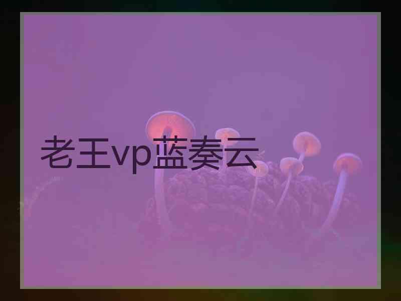 老王vp蓝奏云