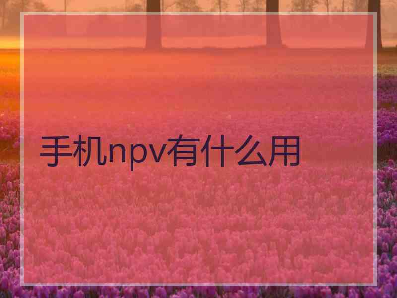 手机npv有什么用