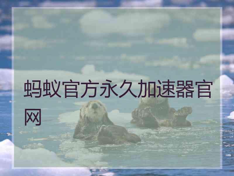 蚂蚁官方永久加速器官网