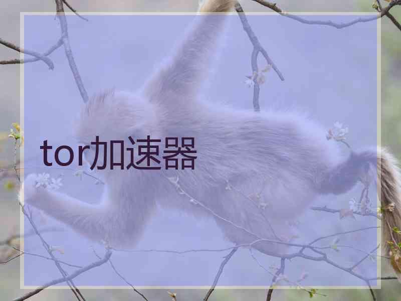 tor加速器