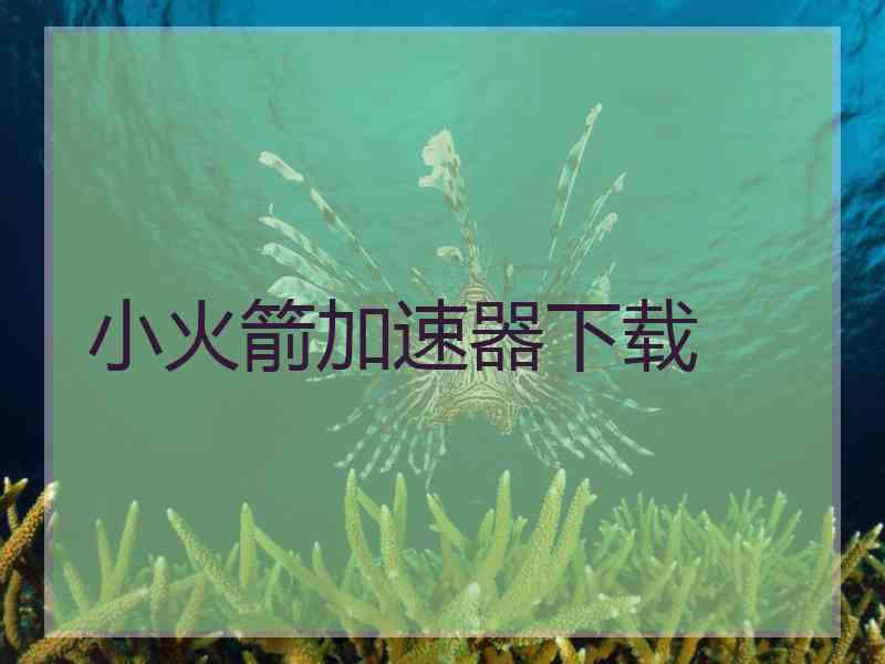 小火箭加速器下载