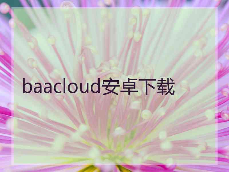 baacloud安卓下载