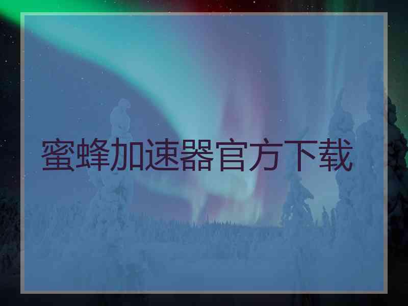 蜜蜂加速器官方下载