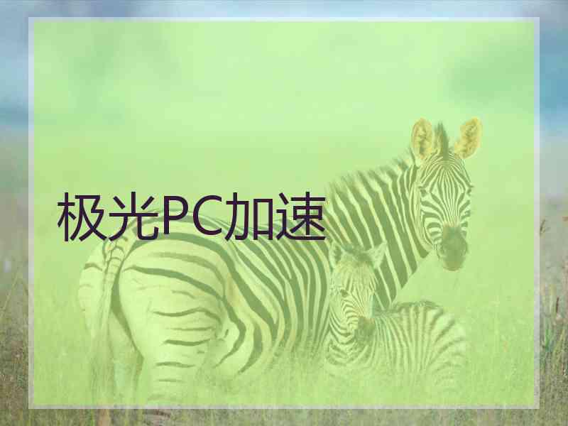 极光PC加速