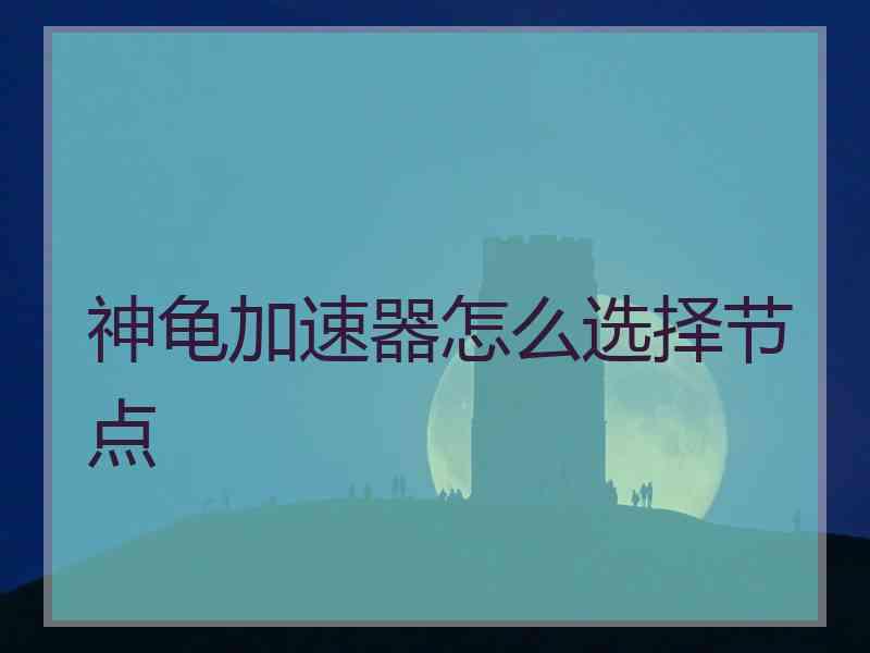 神龟加速器怎么选择节点