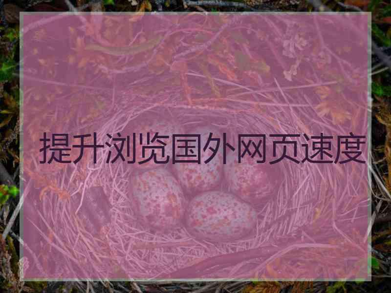 提升浏览国外网页速度