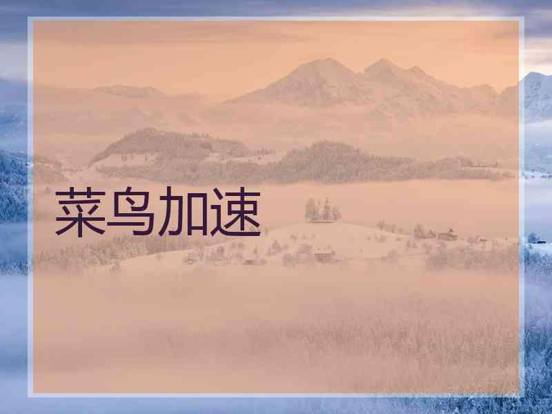 菜鸟加速