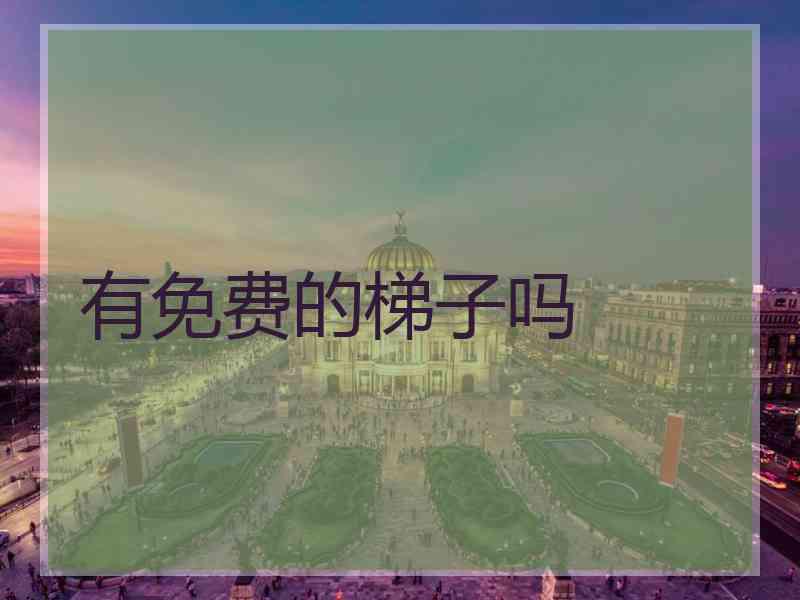 有免费的梯子吗