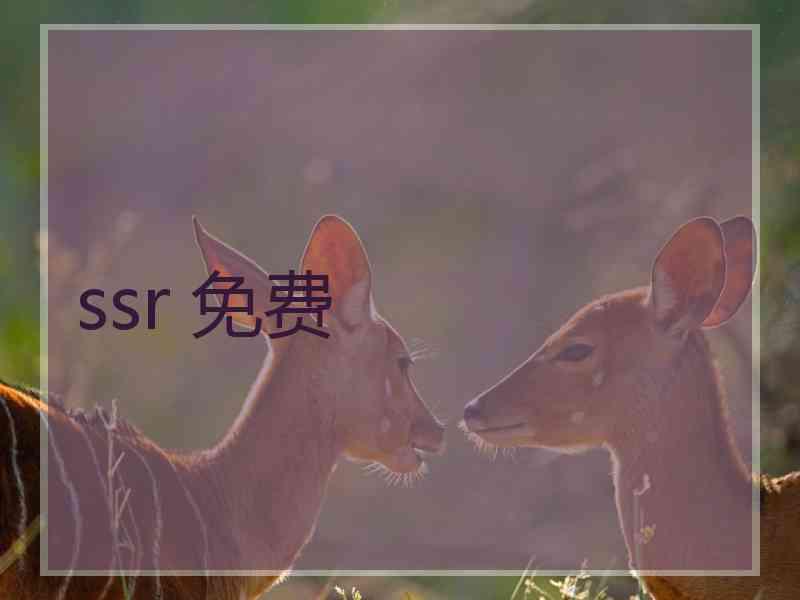 ssr 免费