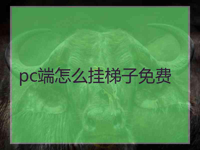 pc端怎么挂梯子免费