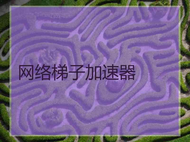 网络梯子加速器