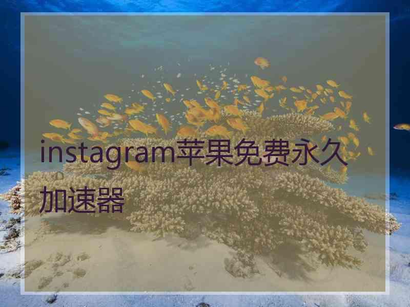 instagram苹果免费永久加速器