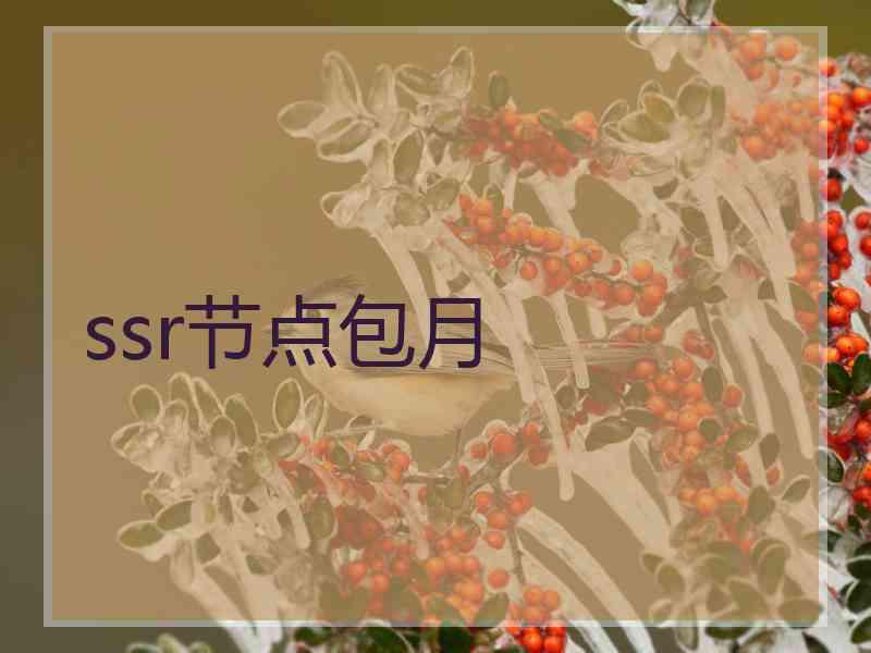 ssr节点包月