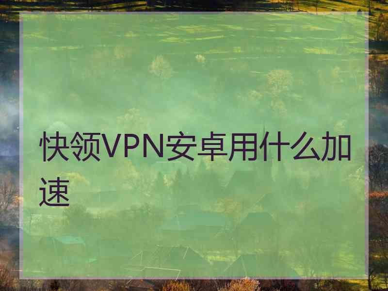 快领VPN安卓用什么加速