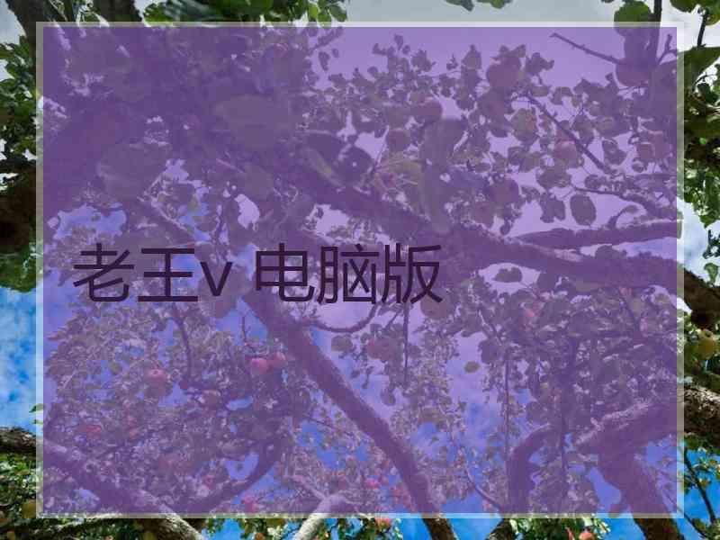 老王v 电脑版