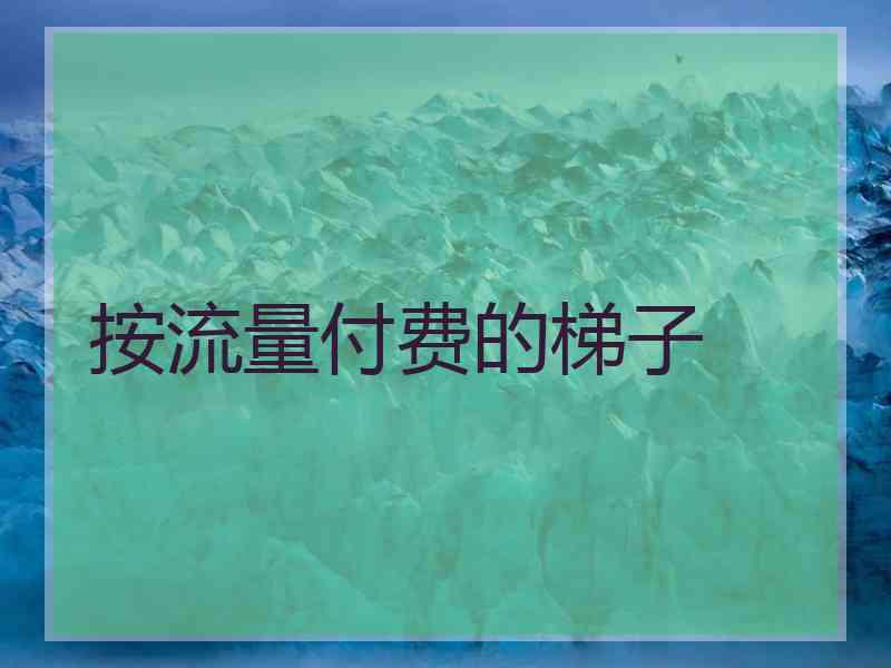 按流量付费的梯子