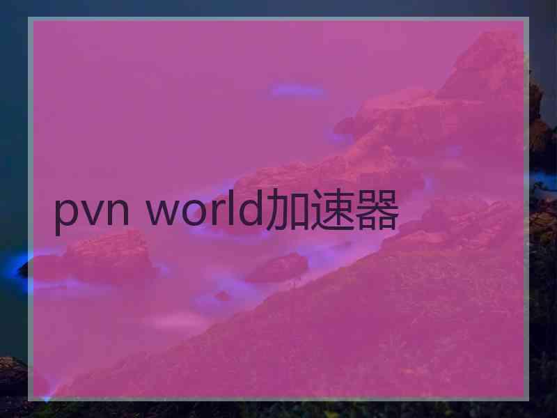 pvn world加速器
