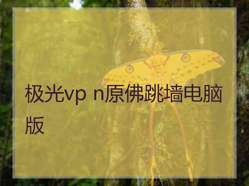 极光vp n原佛跳墙电脑版