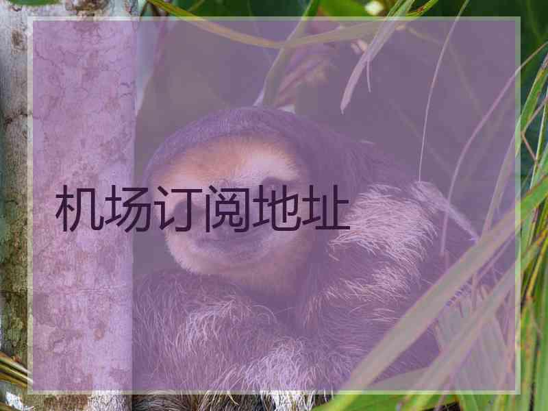 机场订阅地址