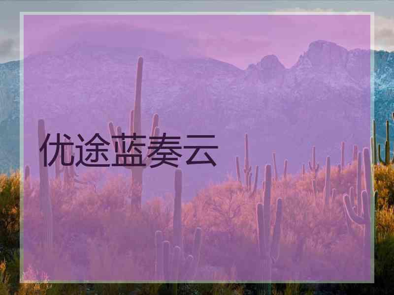 优途蓝奏云