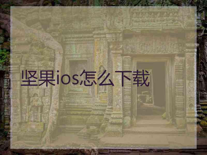 坚果ios怎么下载