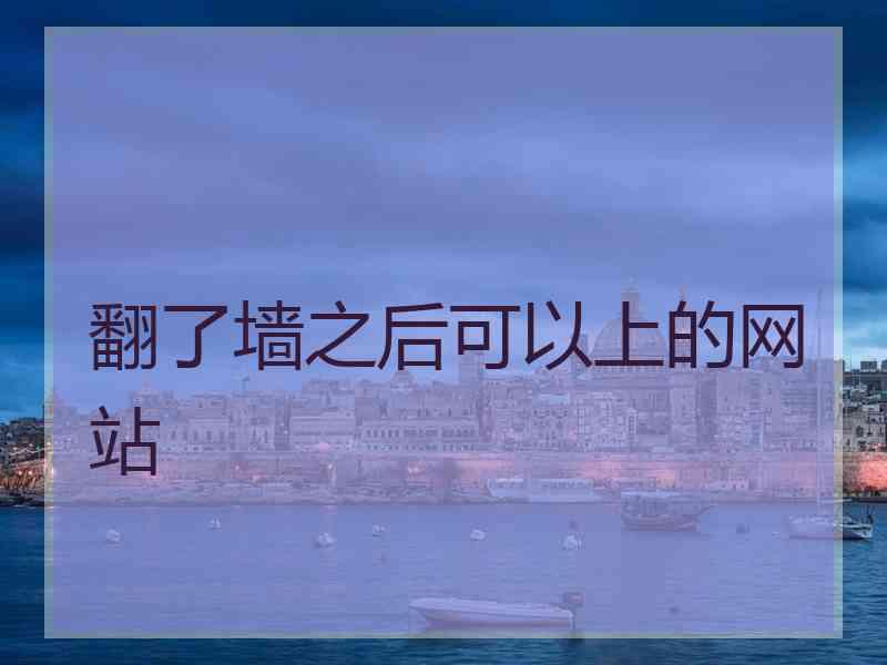 翻了墙之后可以上的网站