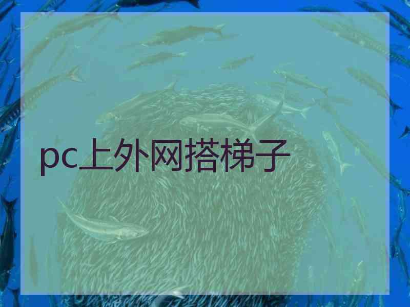 pc上外网搭梯子