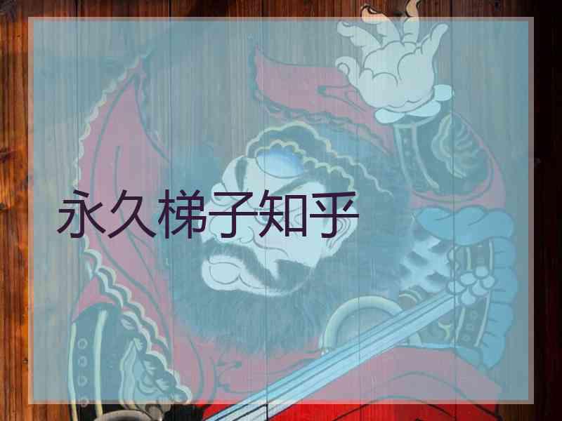 永久梯子知乎