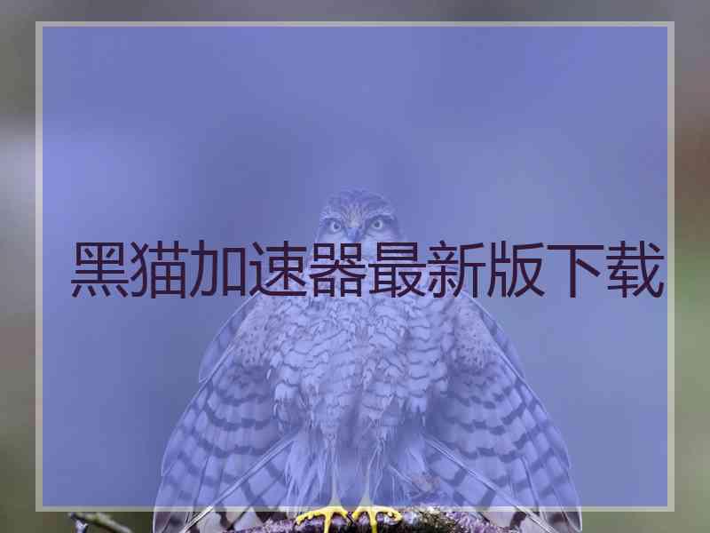 黑猫加速器最新版下载