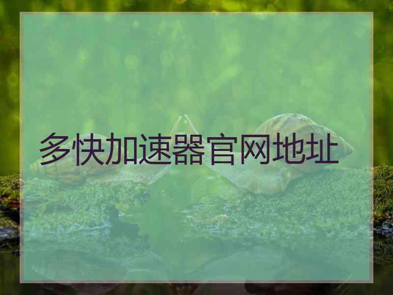 多快加速器官网地址
