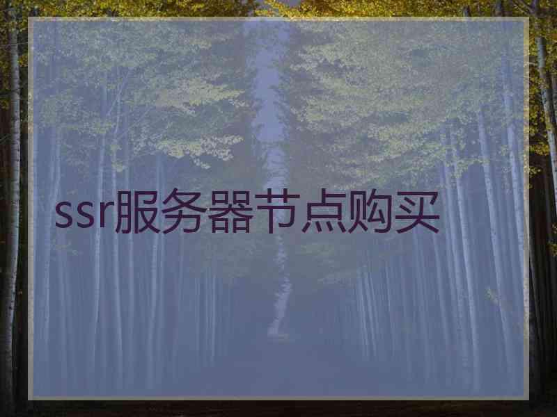 ssr服务器节点购买