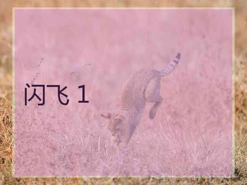 闪飞 1
