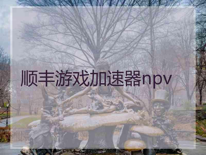 顺丰游戏加速器npv