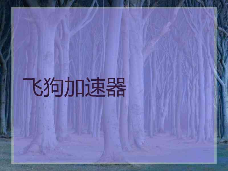 飞狗加速器