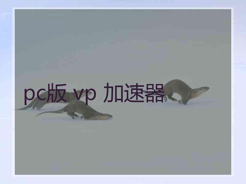pc版 vp 加速器
