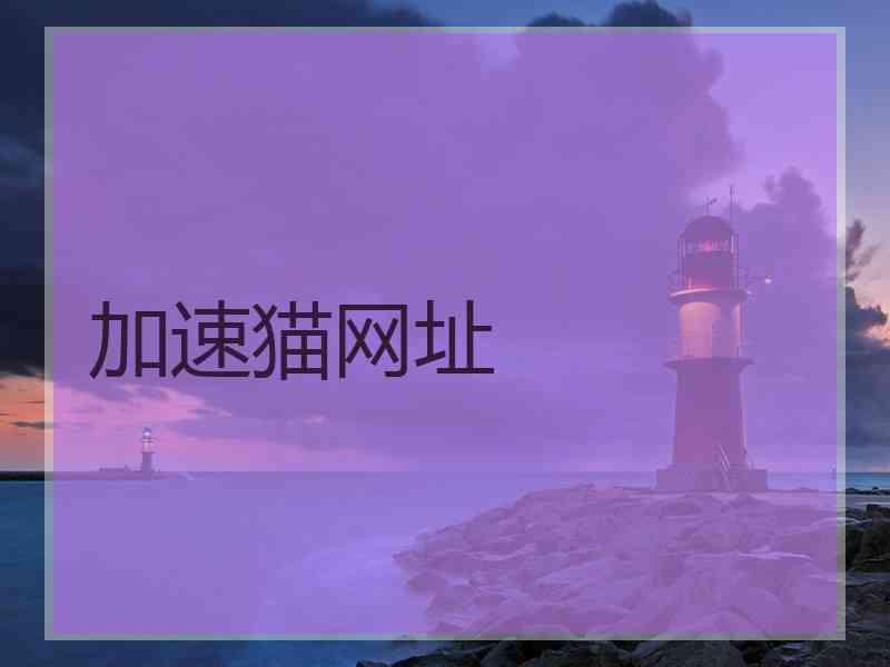 加速猫网址