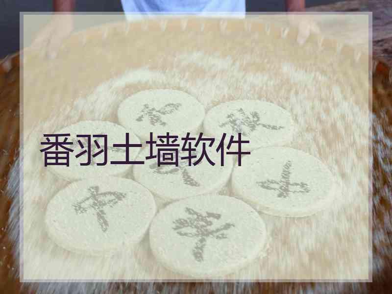 番羽土墙软件