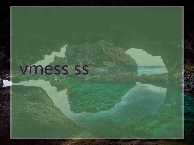 vmess ss