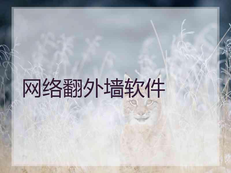 网络翻外墙软件