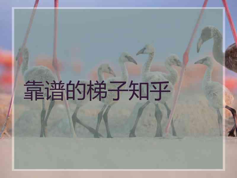 靠谱的梯子知乎