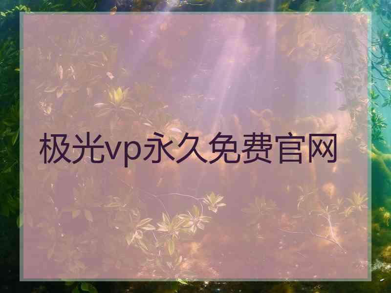 极光vp永久免费官网