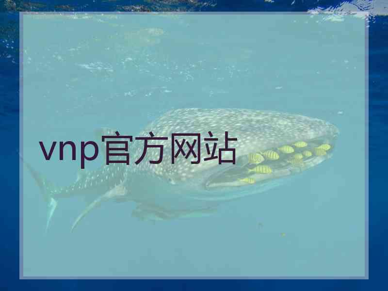 vnp官方网站