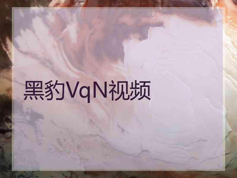 黑豹VqN视频