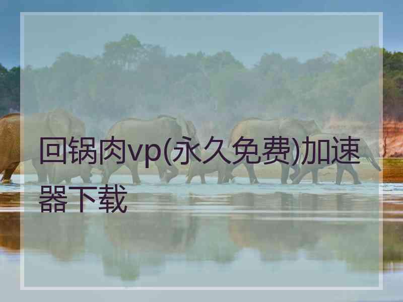 回锅肉vp(永久免费)加速器下载